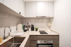 The Florence Residences (D19), Apartment #508272601